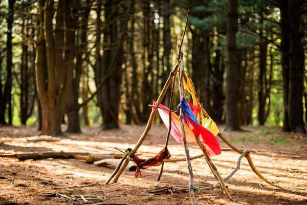 Sticklets, More Choices 7 Sticklets, More Choices - Image 5