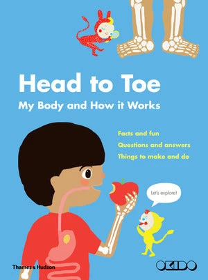 Head To Toe, My Body And How It Works 3 Head To Toe, My Body And How It Works