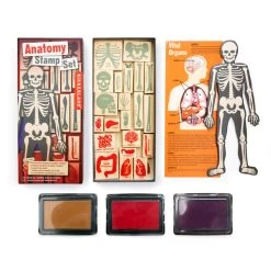 KIKKERLAND Anatomy Stamp Set -Baby Related GG237 WB1 736x736 jpg