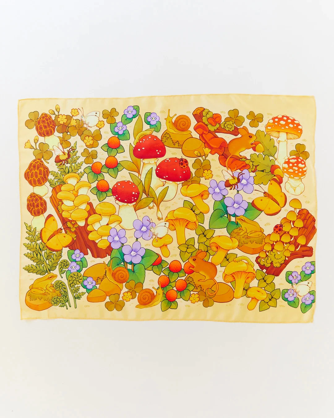 Seek & Find Playsilks 4 Seek & Find Playsilks - Image 2