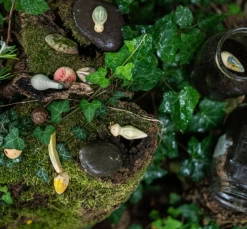 Wild Exploration Play Set 13 Wild Exploration Play Set -Baby Related ScreenShot2022 02 19at9.50.49AM