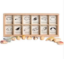 Wild Exploration Play Set 10 Wild Exploration Play Set -Baby Related ScreenShot2022 02 19at9.51.18AM