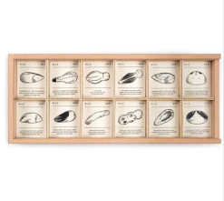 Wild Exploration Play Set 11 Wild Exploration Play Set -Baby Related ScreenShot2022 02 19at9.51.31AM