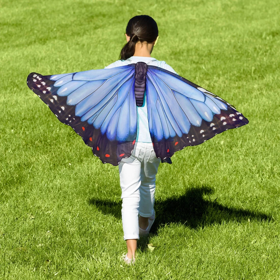 Realistic Butterfly Wings 8 Realistic Butterfly Wings - Image 6